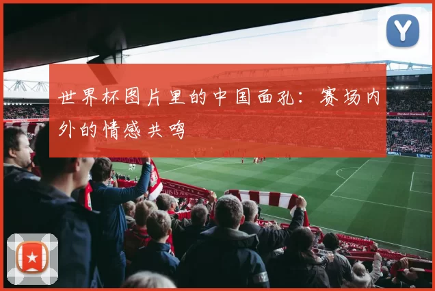 世界杯图片里的中国面孔:赛场内外的情感共鸣