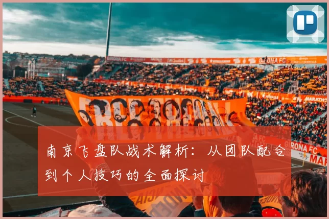 南京飞盘队战术解析:从团队配合到个人技巧的全面探讨