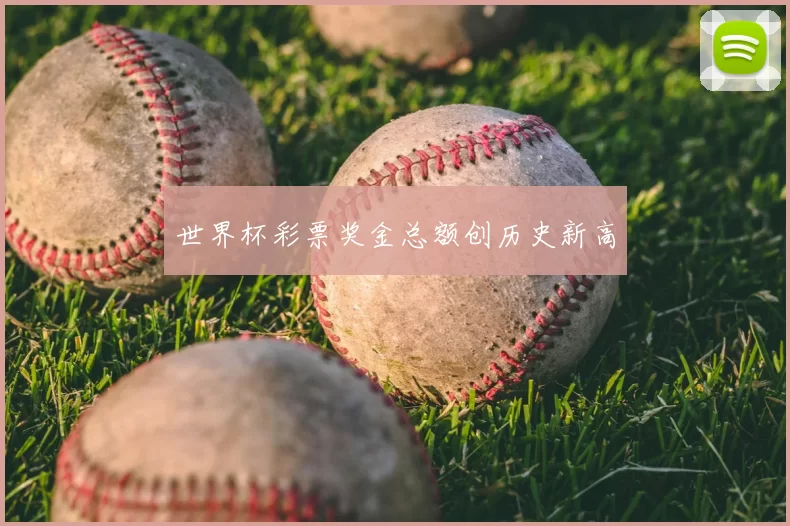 世界杯彩票奖金总额创历史新高