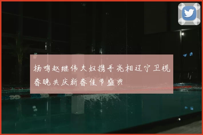 杨鸣赵继伟夫妇携手亮相辽宁卫视春晚共庆新春佳节盛典
