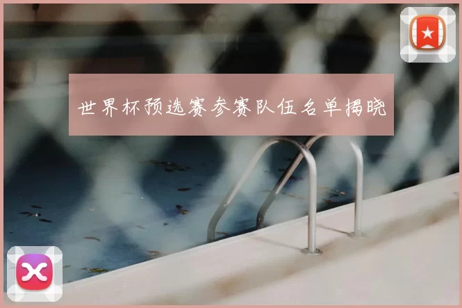 世界杯预选赛参赛队伍名单揭晓