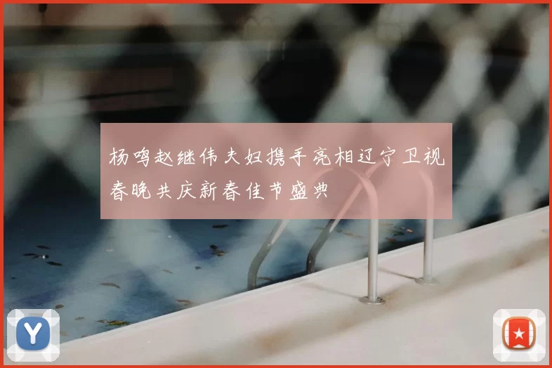 杨鸣赵继伟夫妇携手亮相辽宁卫视春晚共庆新春佳节盛典