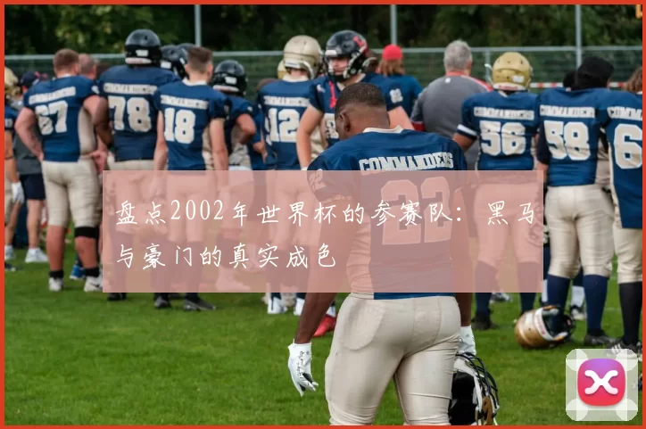 盘点2002年世界杯的参赛队：黑马与豪门的真实成色