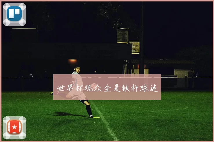 世界杯观众全是铁杆球迷