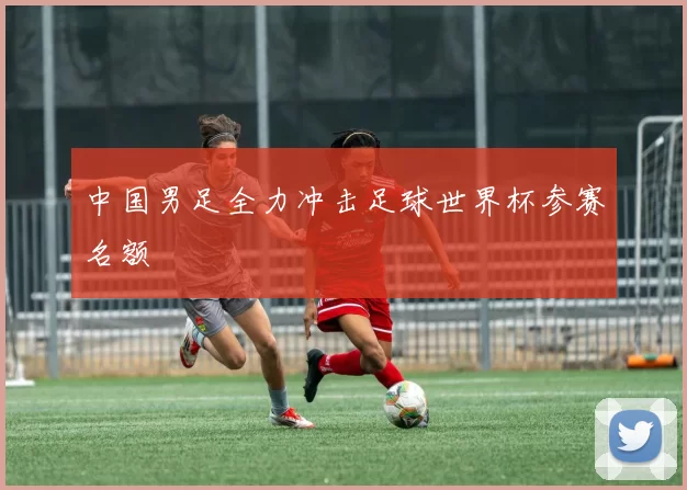 中国男足全力冲击足球世界杯参赛名额