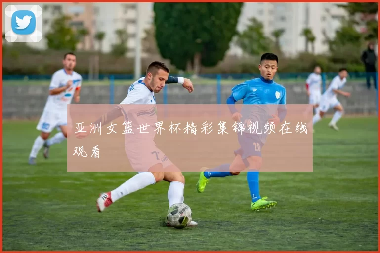 亚洲女篮世界杯精彩集锦视频在线观看