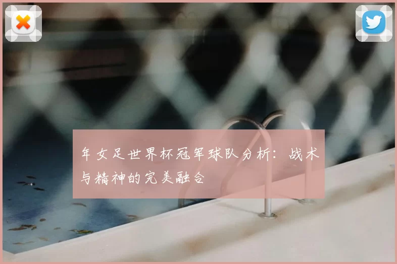 年女足世界杯冠军球队分析:战术与精神的完美融合