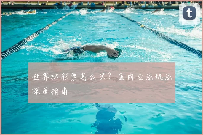 世界杯彩票怎么买？国内合法玩法深度指南