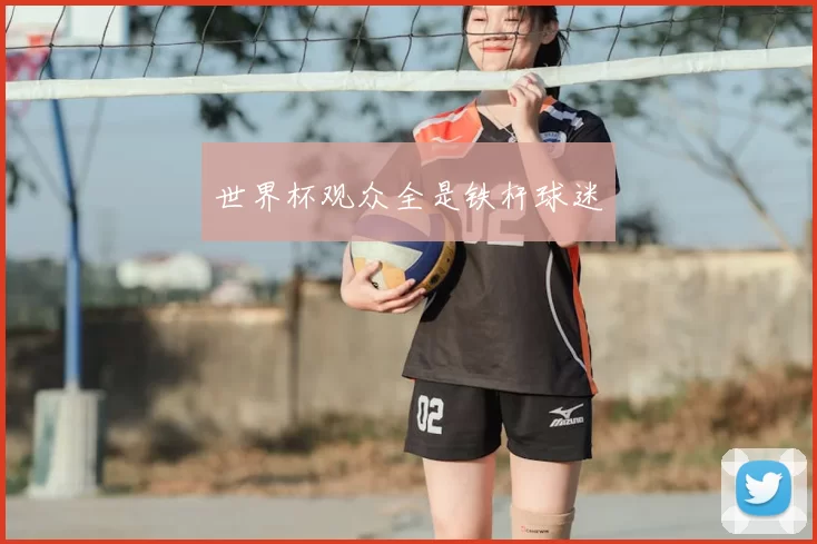 世界杯观众全是铁杆球迷